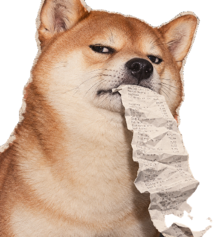Inu, a tawny Shiba, giving side-eye with a long crumpled receipt in its mouth